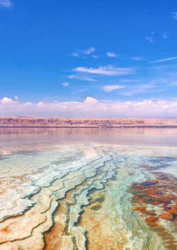 Dead Sea (355x500)