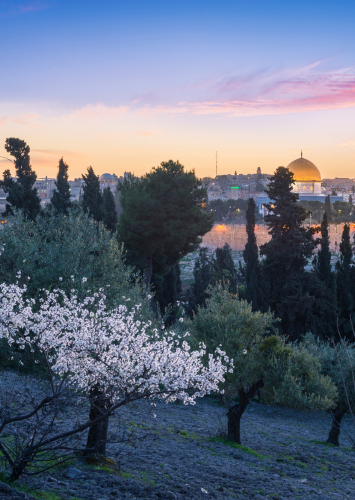Jerusalem (355x500)