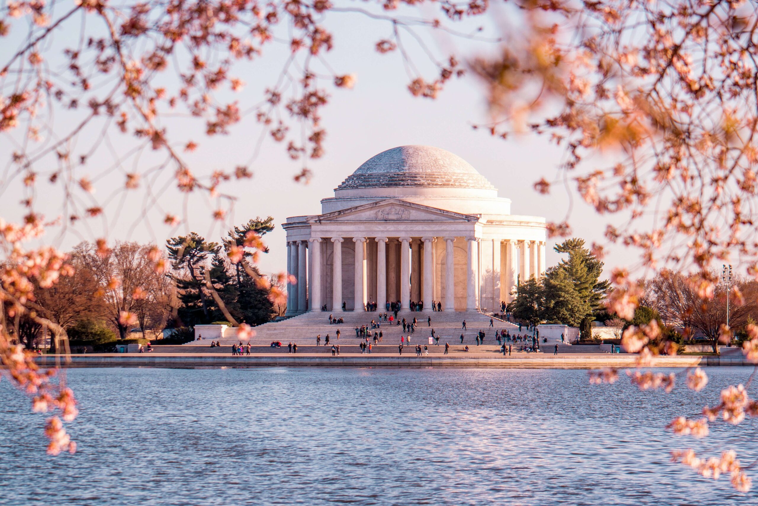 DC thomas jefferson memorial cherry blossom washington dc grant-czerwinski
